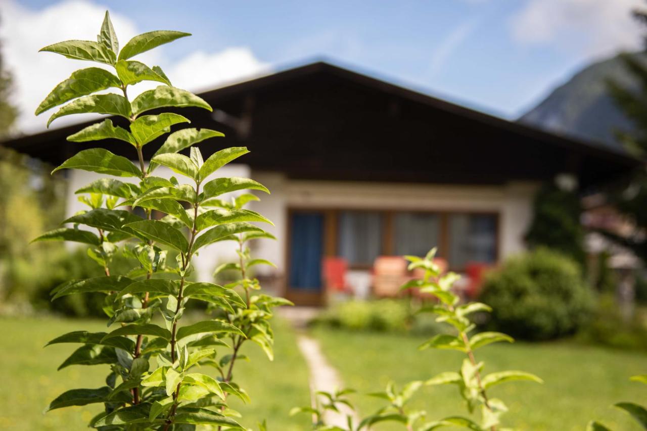 Forellenhof Appartements & Grossmutters Bungalow 로이타쉬 외부 사진
